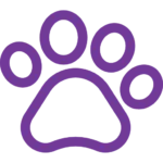 Fisioterapia Veterinária